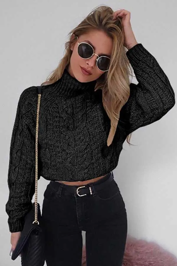 Cable Knit High Neck Crop Sweater