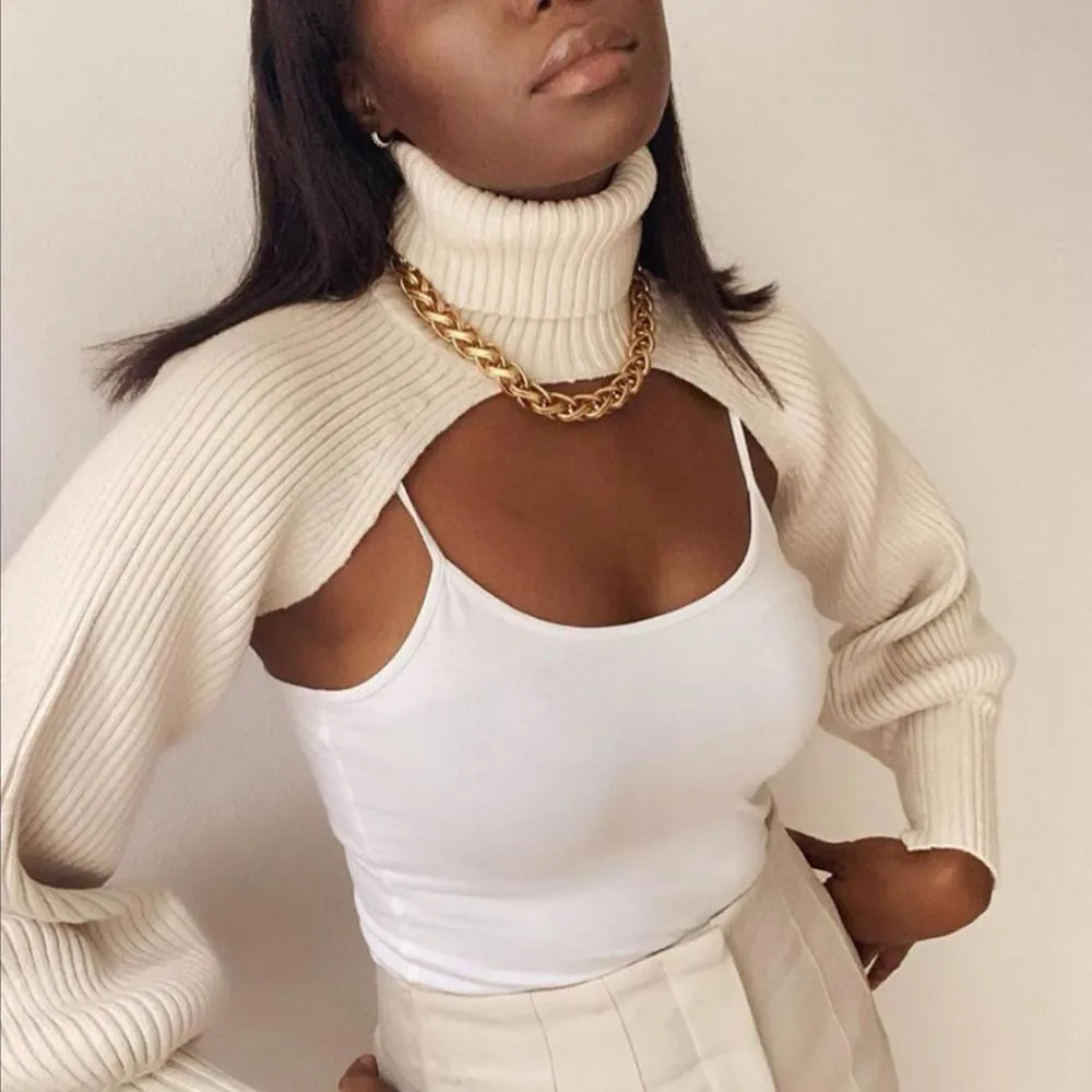 Knitted Turtleneck Crop Top Sweater