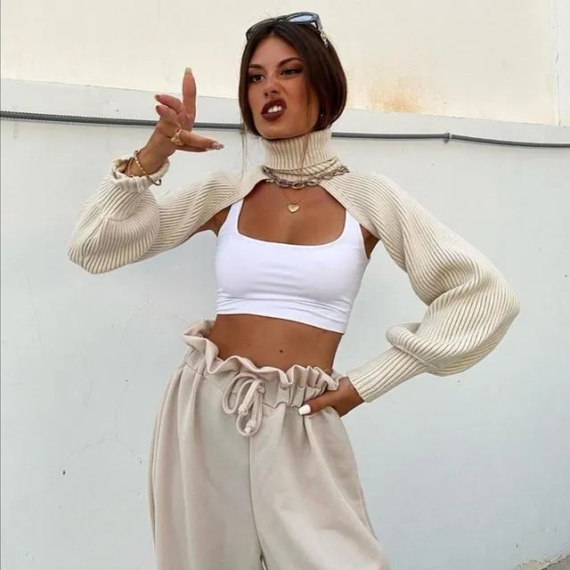 Knitted Turtleneck Crop Top Sweater