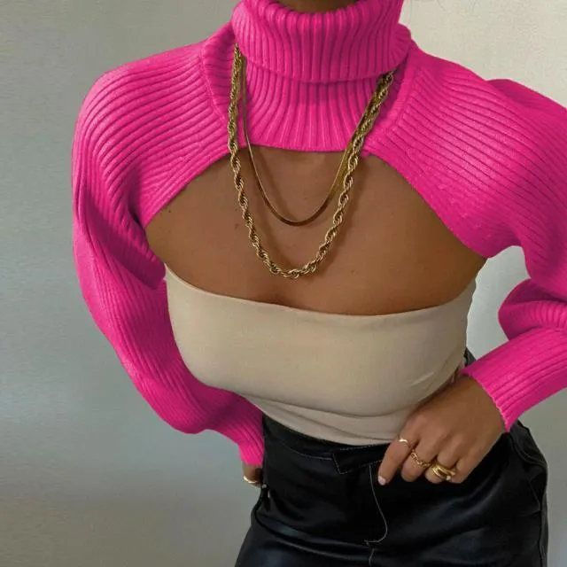 Knitted Turtleneck Crop Top Sweater