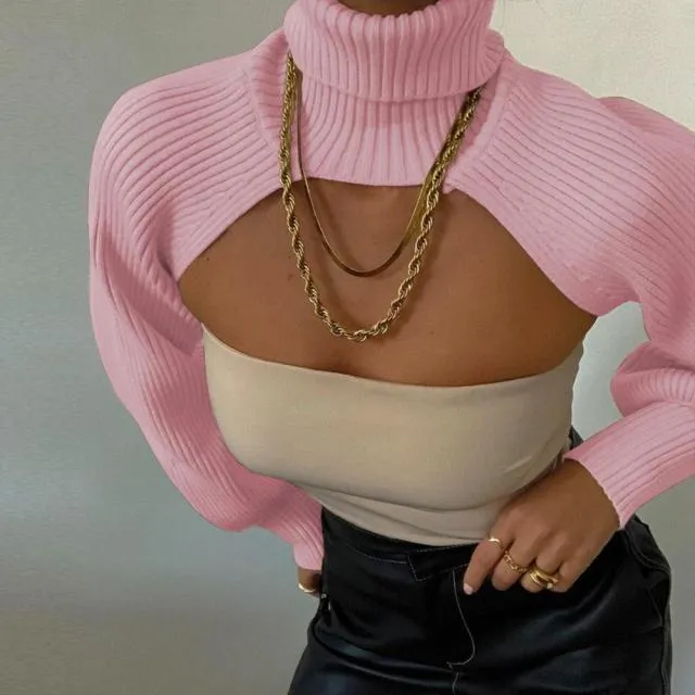 Knitted Turtleneck Crop Top Sweater