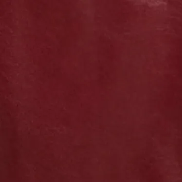 Rothen Coat in Oxblood Leather